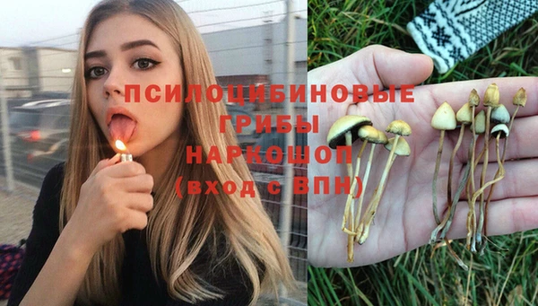 стафф Аркадак