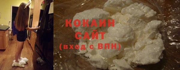 гашик Арсеньев
