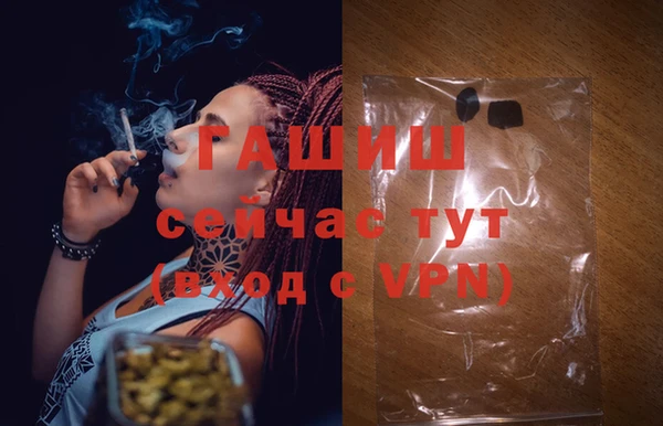гашик Арсеньев