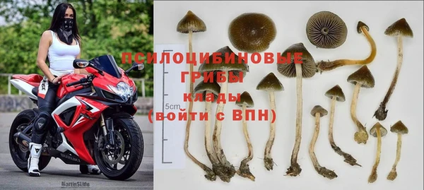 стафф Аркадак