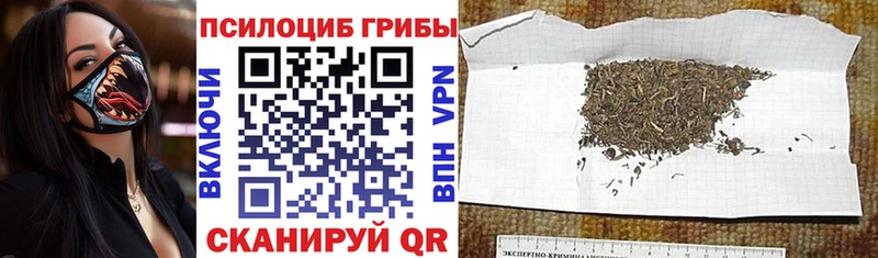 Псилоцибиновые грибы мухоморы  купить  сайты  Терек 